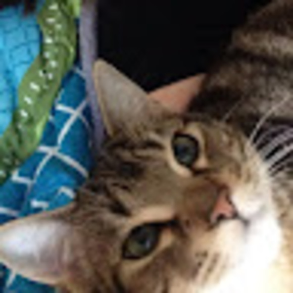 Meet your Posher, Hanna - Picture 1 of 1